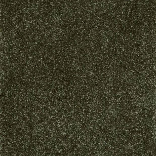 Moquette Monte Gordo