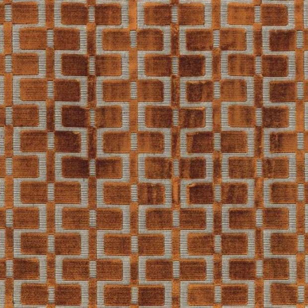 Tissu Analogie