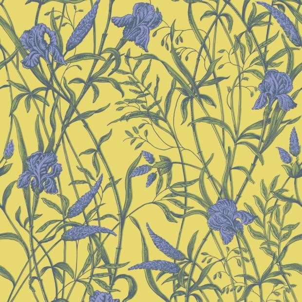 Papier peint Iris