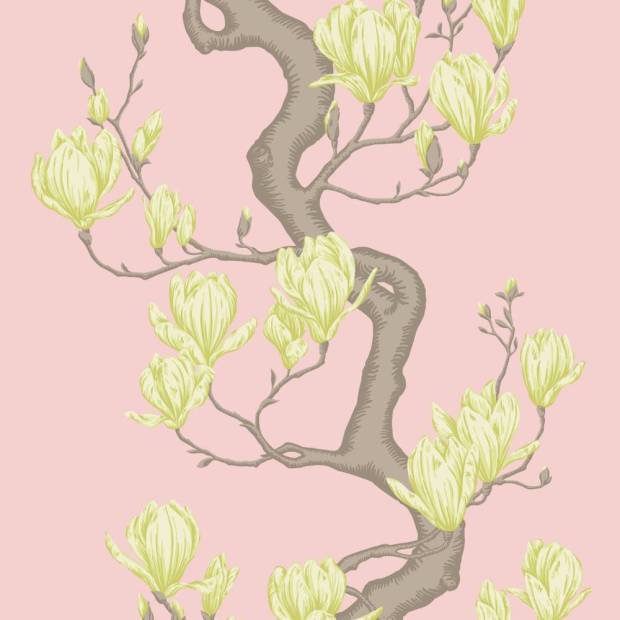 Papier peint Magnolia