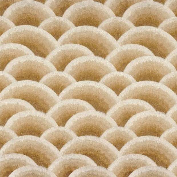 Tissu Arcus