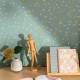 Papier peint Callisto