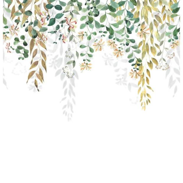 Papier Peint Panoramique Honeysuckle