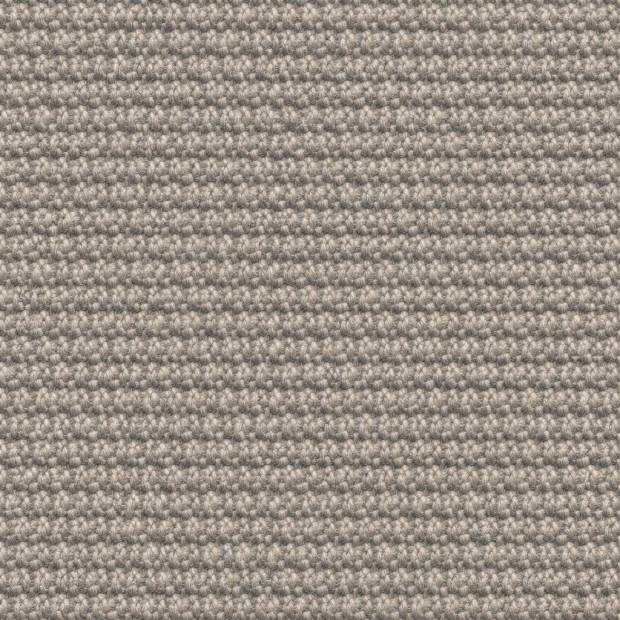 Moquette Tiaret