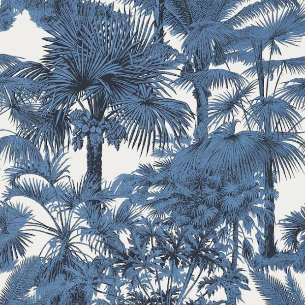 Papier peint Palm botanical