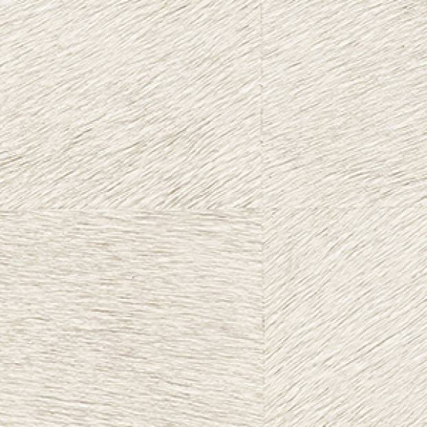 Papier peint Movida HPC