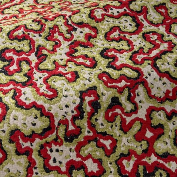 Tissu Sinularia