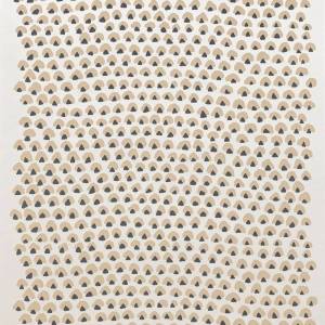 Papier peint Noisette