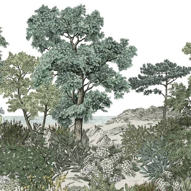 Papier peint Panoramique sur mesure Forêt de Bretagne
