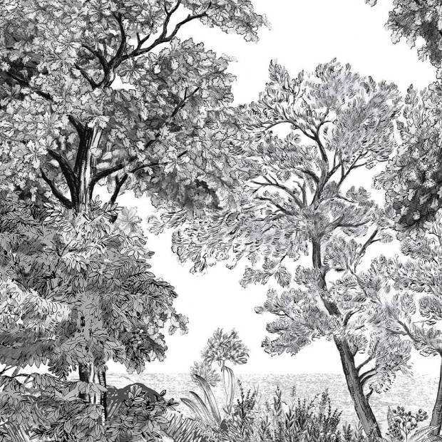 Papier peint Panoramique sur mesure Forêt de Bretagne