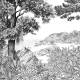 Papier peint Panoramique sur mesure Forêt de Bretagne