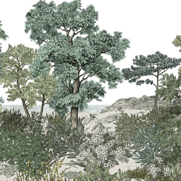 Panoramique Forêt de Bretagne