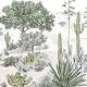 Papier peint Succulentes