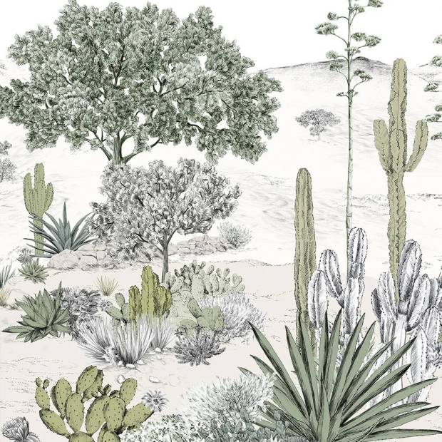 Papier peint panoramique Succulentes