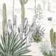 Papier peint panoramique Succulentes