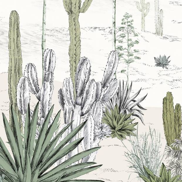 Papier peint Succulentes