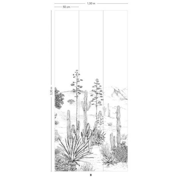 Papier peint Succulentes