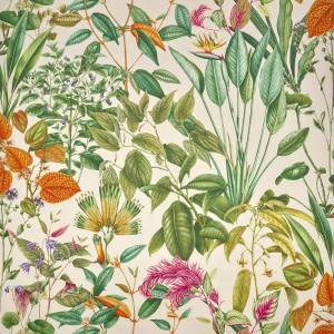 Papier Peint Fantaisie Tropicale