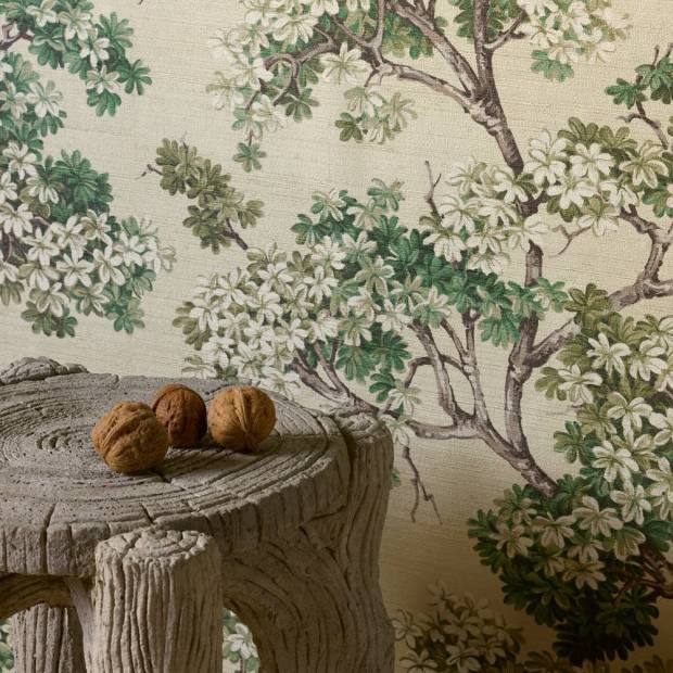 Papier Peint Courtine
