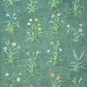 Papier Peint L'Herbier Du Jardin