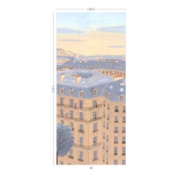 Papier peint Panoramique Toits de Paris