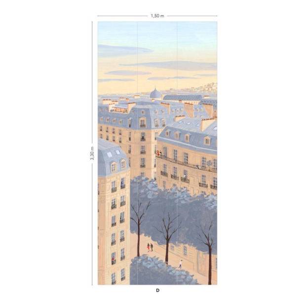 Papier peint Panoramique Toits de Paris