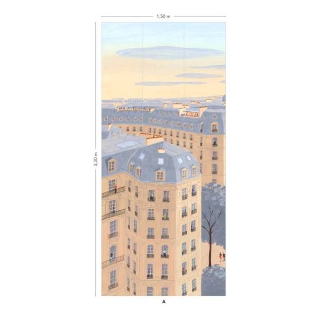 Papier peint Panoramique Toits de Paris