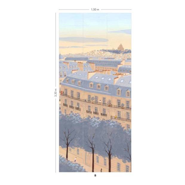 Papier peint Panoramique Toits de Paris