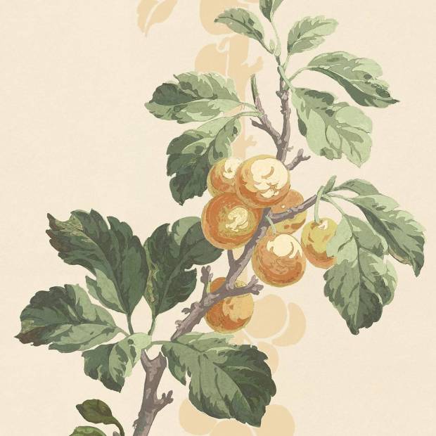 Papier peint Prunus