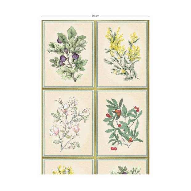 Papier peint Herbier