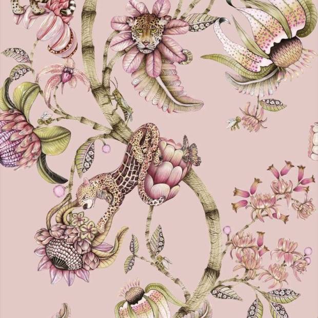 Papier peint Protea Panthera