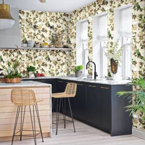 Papier peint Baobab botanica