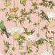 Papier peint Baobab botanica