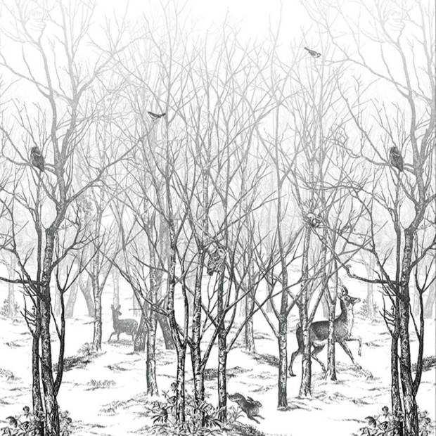 Papier Peint Forêt Enchantée