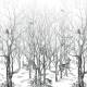 Papier peint Panoramique sur mesure Forêt Enchantée