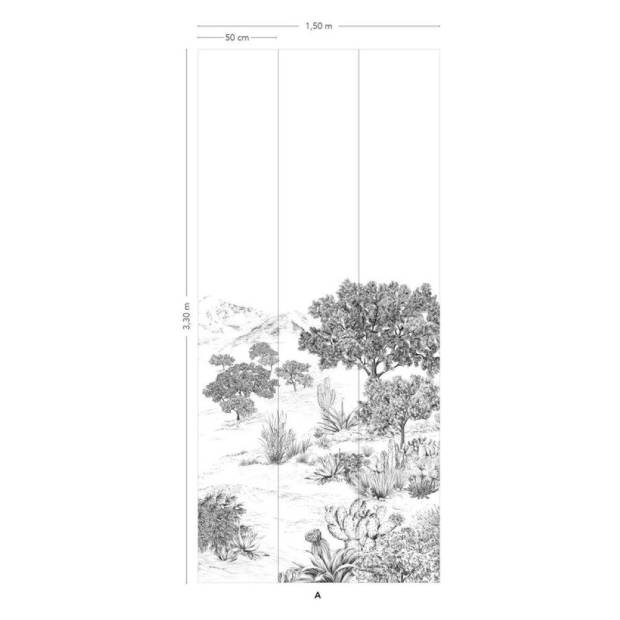 Papier peint panoramique Succulentes