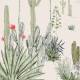 Papier peint panoramique sur mesure Succulentes