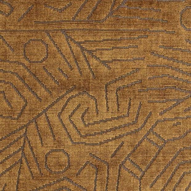 Tissu Darwinista