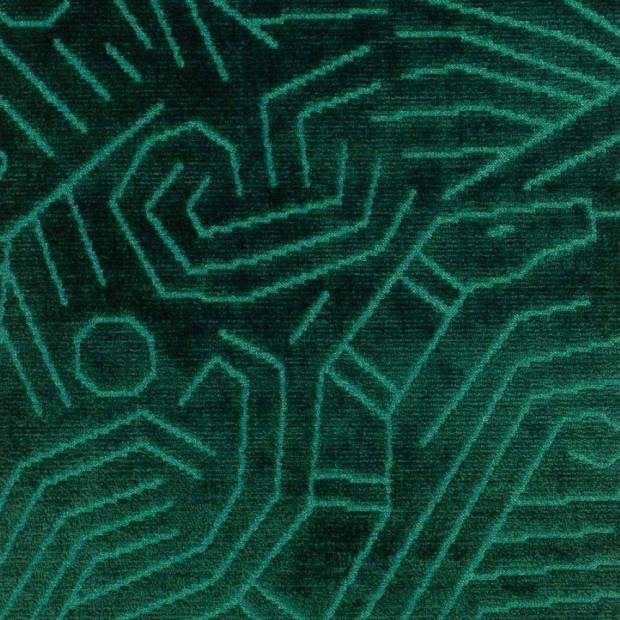 Tissu Darwinista