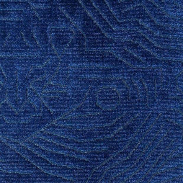 Tissu Darwinista