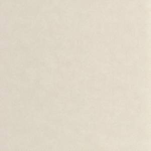 Papier Peint Asterios