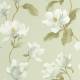 Papier Peint Brume De Magnolia