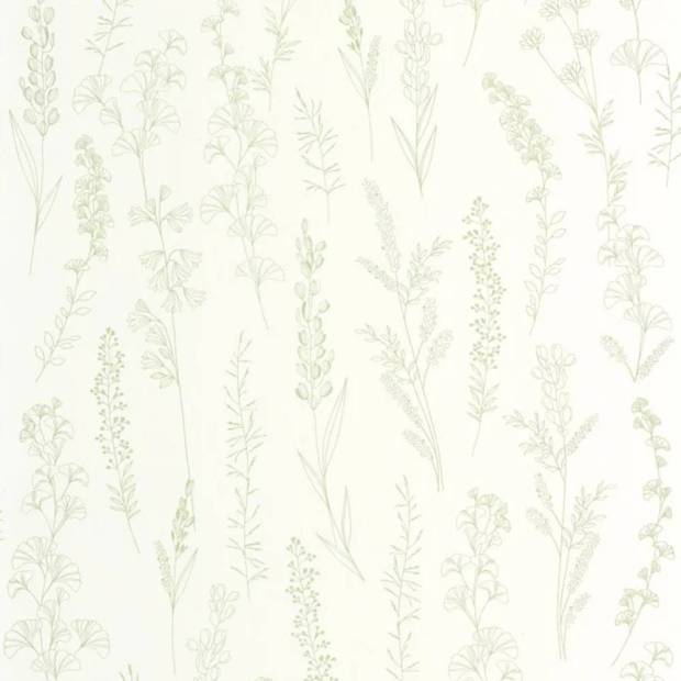 Papier Peint Carnet Botanique