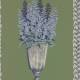 Papier Peint Delphinium