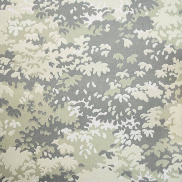 Papier Peint Into the woods