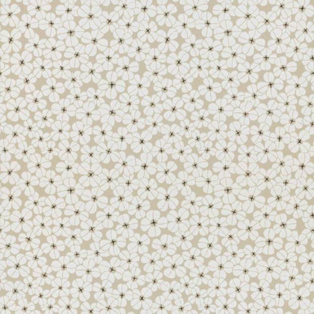Papier Peint Flower Shower