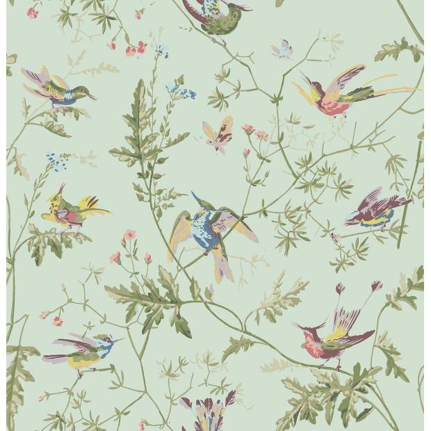 Papier peint Hummingbirds