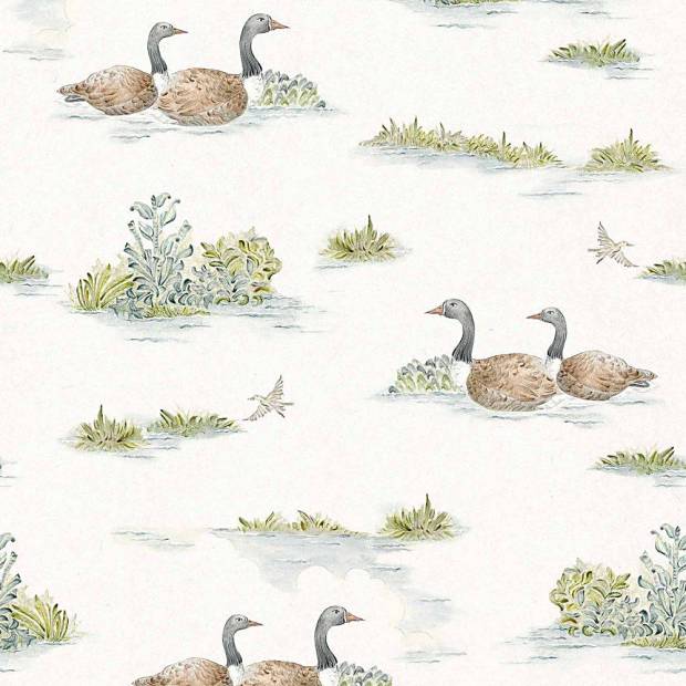 Papier peint Mallard duck intissé