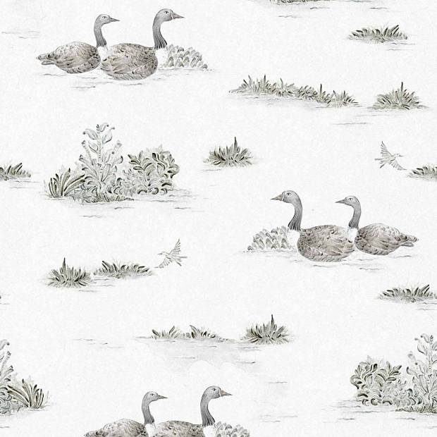 Papier peint Mallard duck intissé