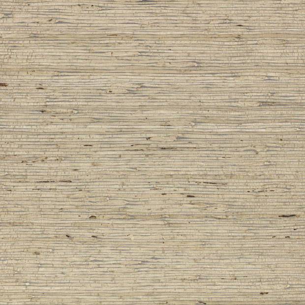 Papier Peint Arrowroot